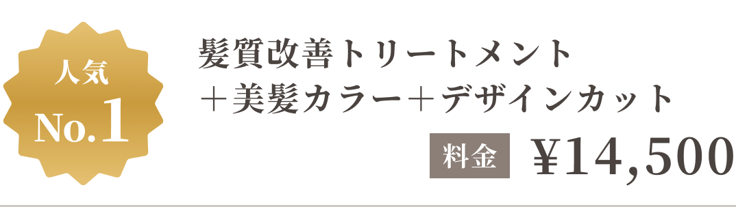 人気No.1 髪質改善トリートメント＋美髪カラー＋デザインカット 14,500円