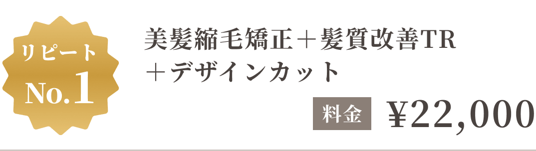 リピートNo.1 美髪縮毛矯正+髪質改善TR+デザインカット 22,000円