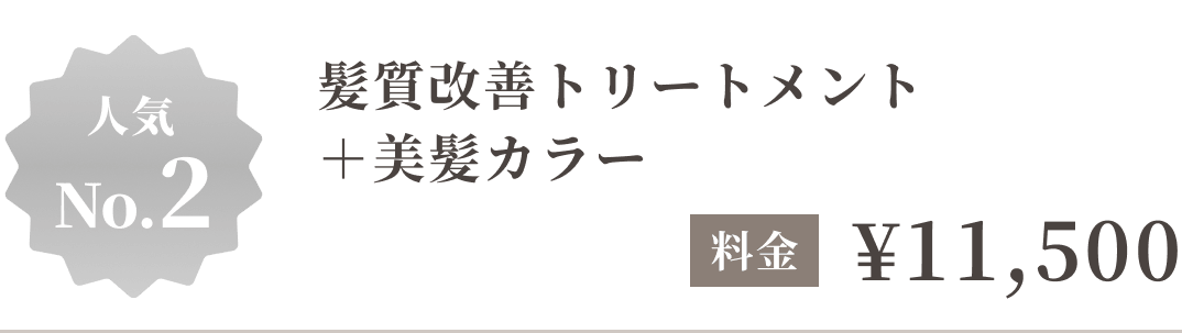 人気No.2 髪質改善トリートメント＋美髪カラー 11,500円